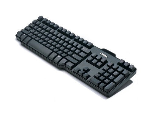 DELL L100 Wired USB Desktop Keyboard  (Black) Fate